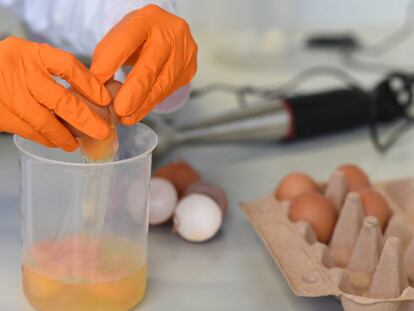 Un t&eacute;cnico analiza huevos en un laboratorio de Erlangen, en Alemania.