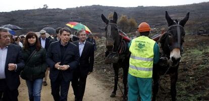 Ignacio Gonz&aacute;lez visita los trabajos de limpieza del &aacute;rea quemada.