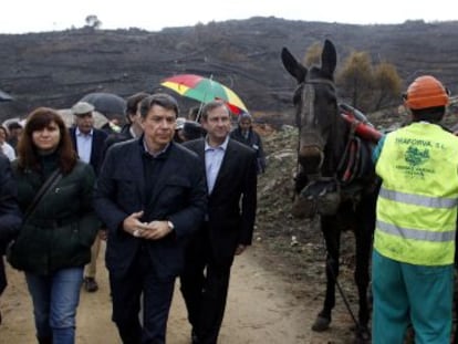 Ignacio Gonz&aacute;lez visita los trabajos de limpieza del &aacute;rea quemada.