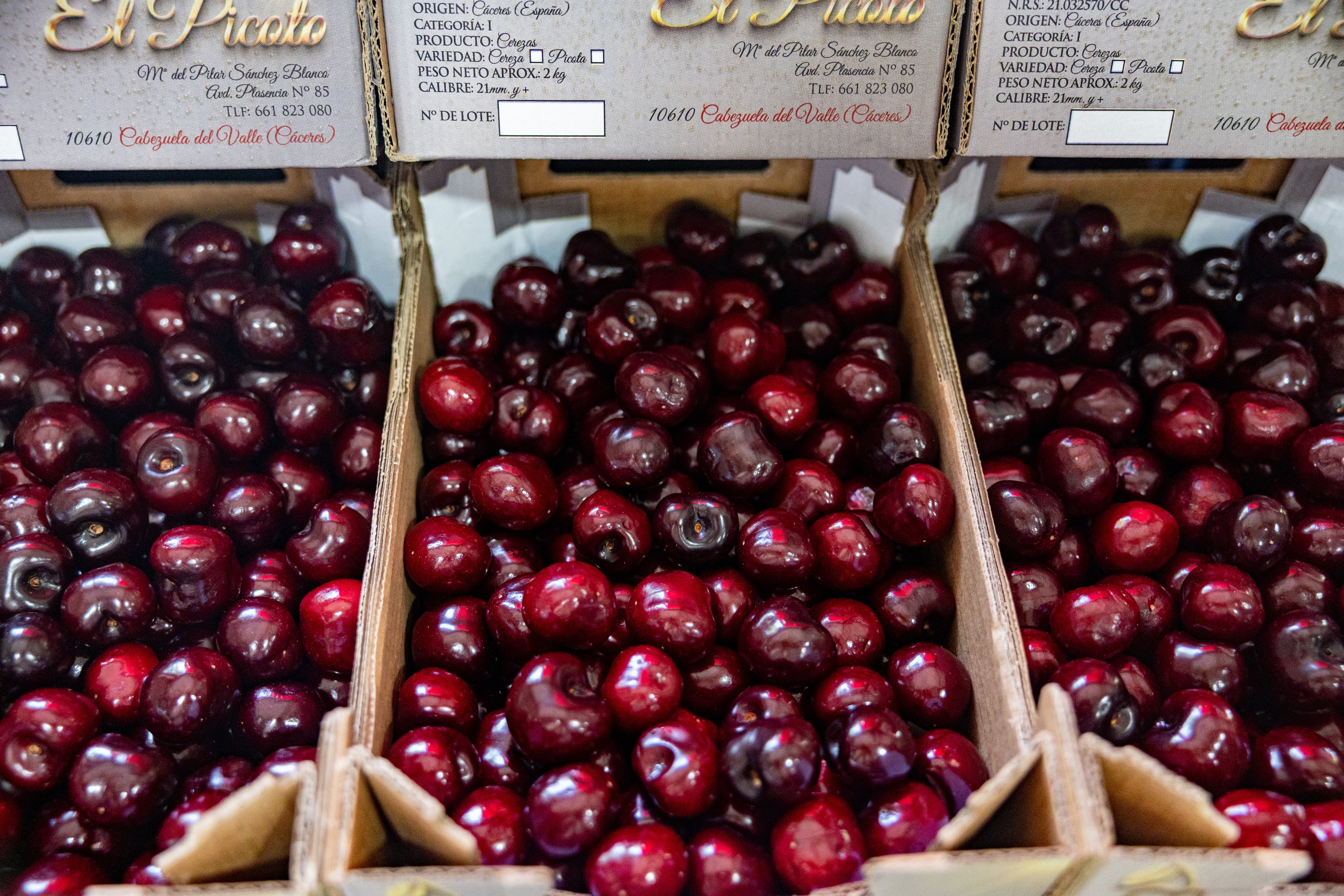 La picota, reina del verano: en qué se distingue de otras cerezas