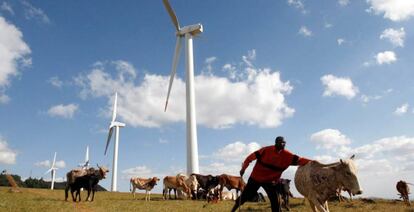 Pastor mas&aacute;i cerca de molinos de viento en Ngong (Kenia).