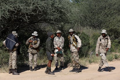 Los guardabosques observan el traslado de los rinocerontes blancos y negros. Un grupo de formado por varios de estos profesionales capturó, sedó y trasladó rinocerontes blancos y negros a lo largo de más de 1.600 kilómetros, hasta el Parque Nacional de Zinave, que cuenta con más de 400.000 hectáreas y más de 2.300 animales reintroducidos.