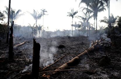 Entre las controvertidas medidas de Jair Bolsonaro, está la de que se pudiera utilizar el Fondo Amazonia para indemnizar a terratenientes expropiados o a los que se prohibieran actividades productivas en las áreas protegidas. En la imagen, un tronco carbonizado en un tramo de la selva amazónica que fue quemado recientemente por madereros y agricultores en Iranduba (Brasil), el 20 de agosto de 2019.