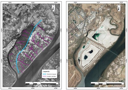 Fotos aéreas en 1956, con los canales mareales en morado, y en 2015, con las balsas de fosfoyesos de Huelva. / DEPARTAMENTO DE CIENCIAS DE LA TIERRA, UNIVERSIDAD DE HUELVA