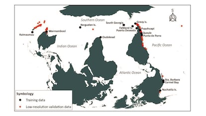 Mapa de la distribución global de las algas gigantes de la especie Macrocystis pyrifera.