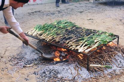 Calçotada de Valls, en Tarragona.