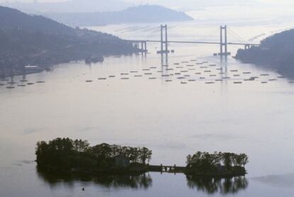 La ría de la Vigo, que registra una alta contaminación de plomo, cadmio y zinc.