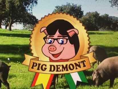 Puigdemont recurre el registro de la marca 'Pigdemont' por "ofensa y vejación"