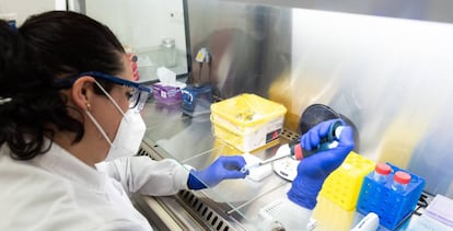 Anáisis de una prueba PCR.