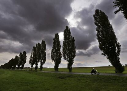 Un motorista circula por una carretera rodeada de rboles agitados por el viento a las afueras de Frankfurt (Alemaia).