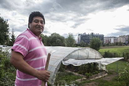 Cristóbal y su mujer han puesto en marcha un huerto propio con lo aprendido en el programa de Huertas Acoge. Gracias a ello disponen de cosecha para autoconsumo y la pequeña venta a sus compatriotas ecuatorianos.