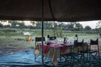 Arriba, ambiente de uno de los safaris móviles que se organizan en Moremi, en el corazón del Delta.