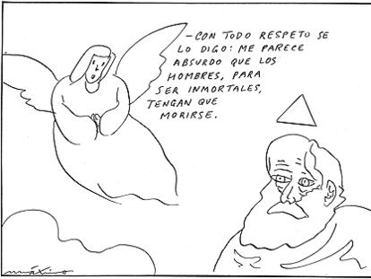 MÁXIMO