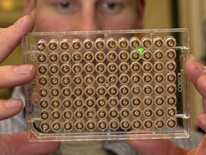 Un científico observa una placa con muestras de ADN.