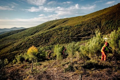 La Comisión Europea quiere incentivar la inversión privada en mejorar la biodiversidad
