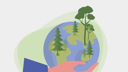 Bosques sostenibles, el modelo forestal que salvará el planeta
