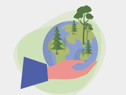 Bosques sostenibles, el modelo forestal que salvará el planeta