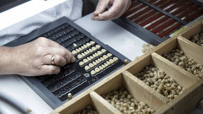 Organizing casts of teeth at the Unidesa-Odi plant.