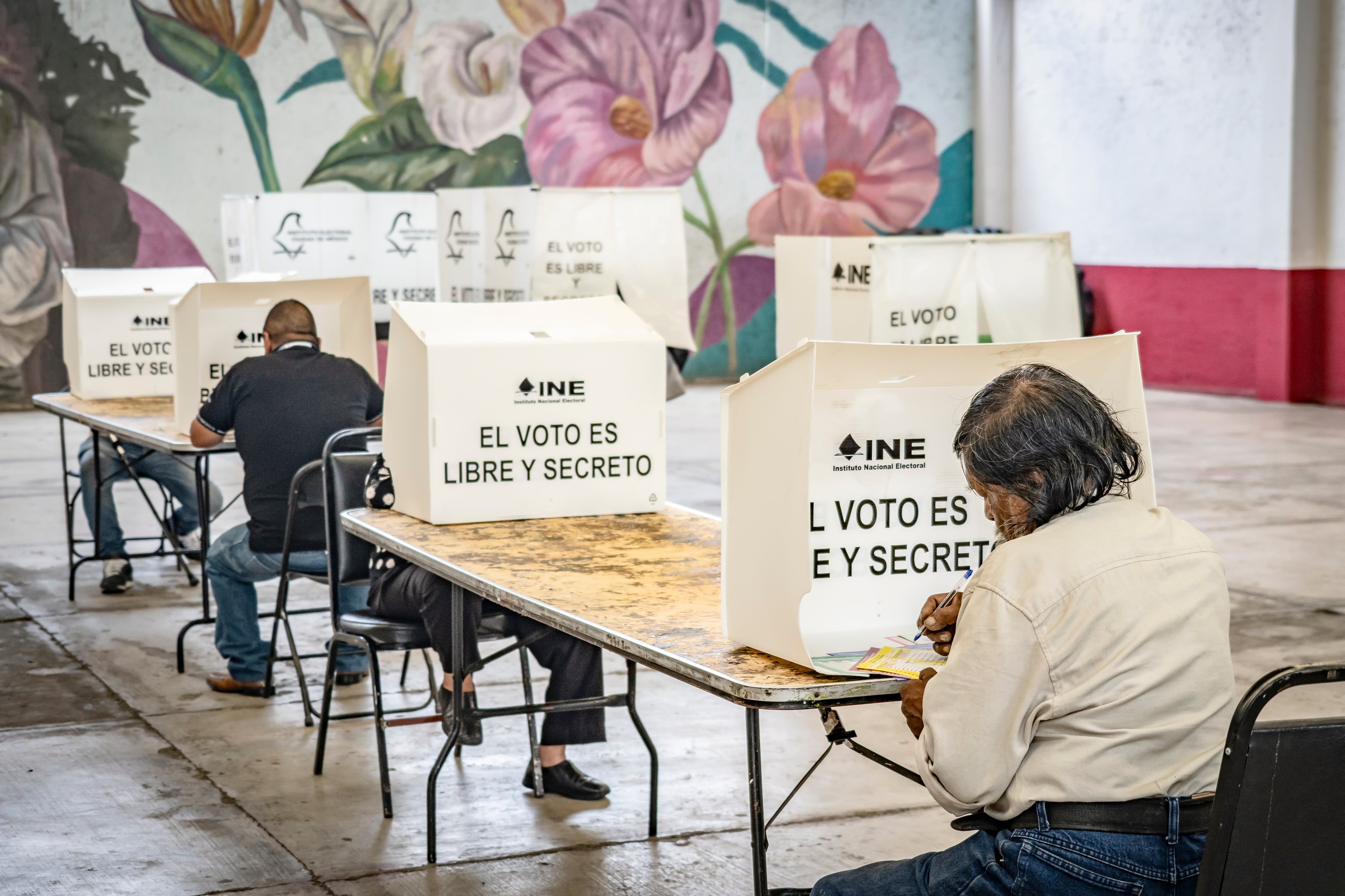 Claroscuros de la erosión democrática en México