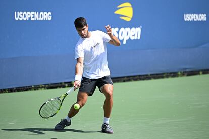 Carlos Alcaraz