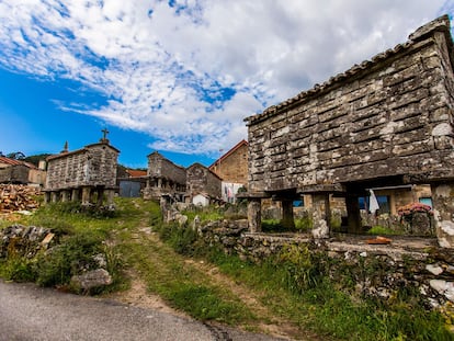 Jueza Galicia Profunda