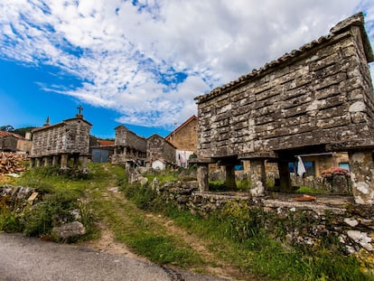 Jueza Galicia Profunda