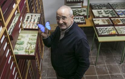 El entómologo Jorge Martínez muestra una mariposa de su colección.