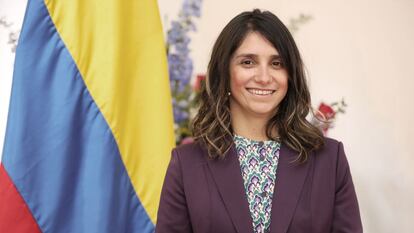 Diana Gómez Correal fue nombrada viceministra de las Mujeres del Ministerio de Igualdad de Colombia en septiembre de 2023.