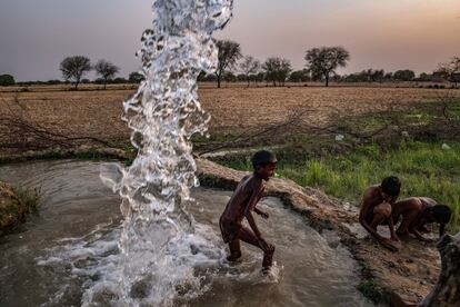 Niños jugando en el agua de un pozo de propiedad privada. El uso del agua subterránea aumentó hace 10 o 15 años cuando las lluvias monzónicas se volvieron menos constantes, lo que provocó una disminución substancial del nivel freático. Lamheta, Uttar Pradesh, India, junio de 2019.
