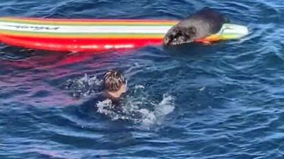 A surfer watches an otter as it sits on his surfboard, in Santa Cruz, California, U.S. July, 2023 in this screengrab obtained from uploaded social media video.