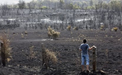 Extensión de terreno calcinada por el incendio que ha afectado al suroeste de Ávila.