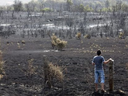 Extensión de terreno calcinada por el incendio que ha afectado al suroeste de Ávila.