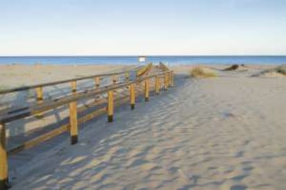 Las dunas del Carabassí, en Elche (Alicante).