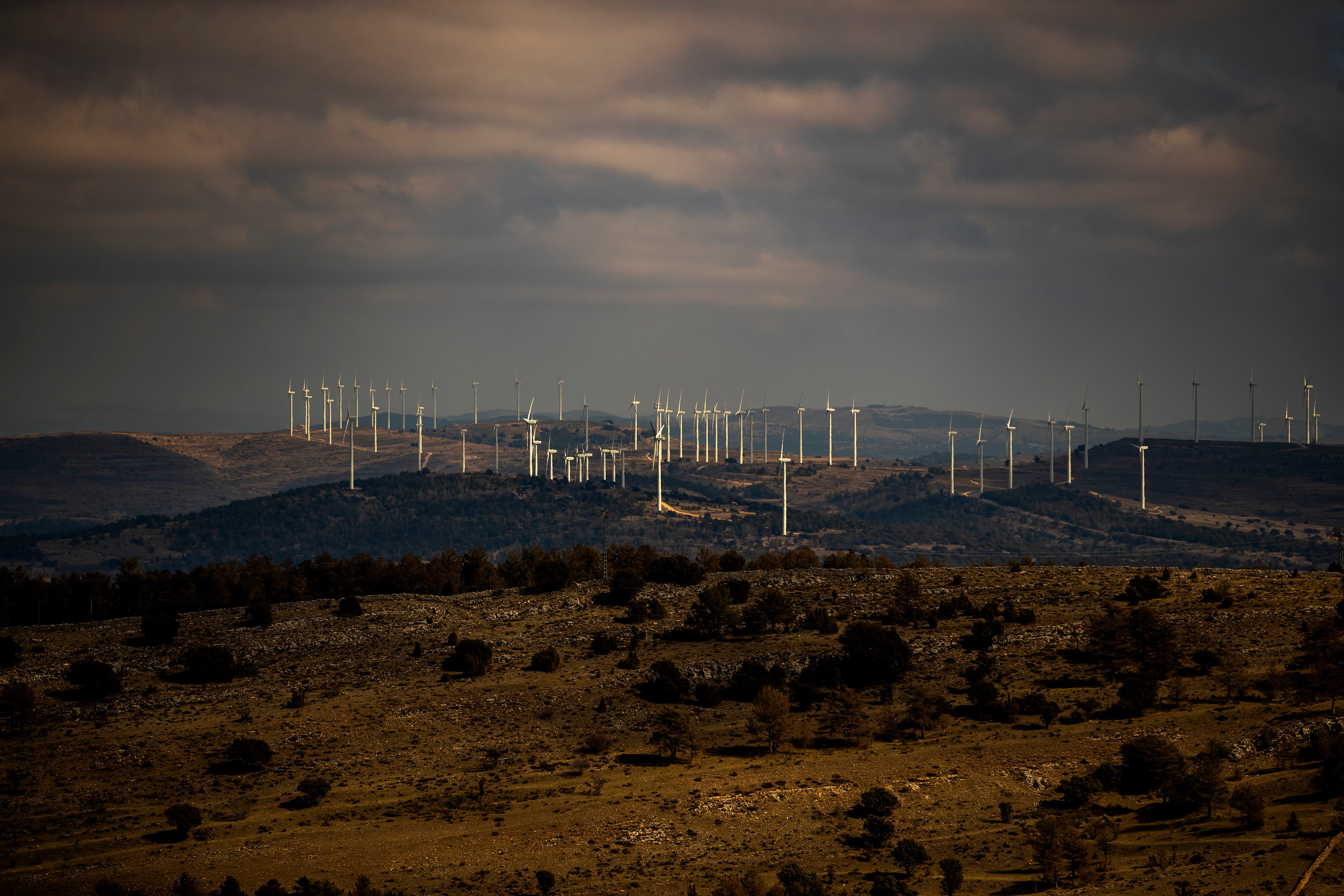 La luz verde del Gobierno recrudece la polémica por el macroproyecto de energía limpia con más potencia de España