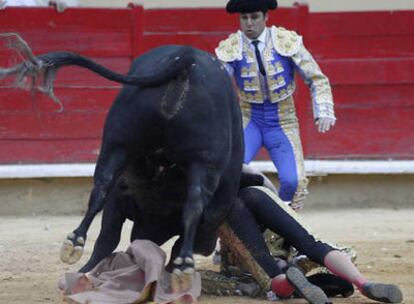 Momento en el toro pasa por encima de Cayetano Rivera en la plaza de Palencia