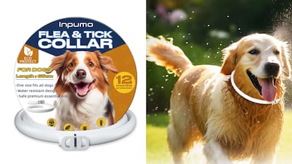 collar antiparasitos para perros de color blanco y con cierre de seguridad.