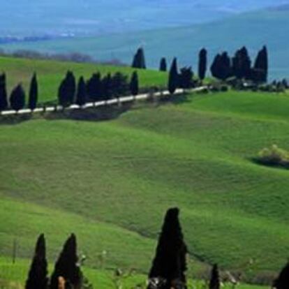 Típico paisaje de La Toscana