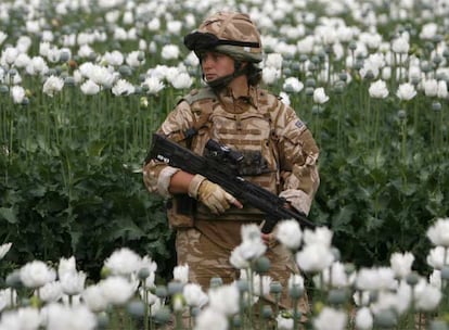 Una militar británica patrulla en un campo de amapolas opiáceas en la provincia de Helmand, en el sur de Afganistán.