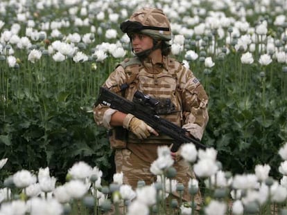 Una militar británica patrulla en un campo de amapolas opiáceas en la provincia de Helmand, en el sur de Afganistán.