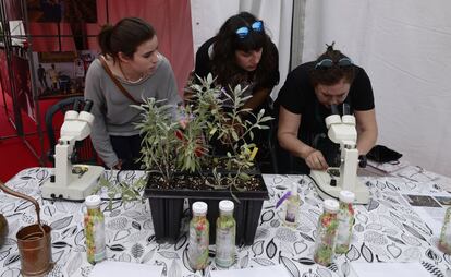 Asomarse al microscopio ayuda a encontrar hasta la partícula más diminuta. La ciencia también tiene un hueco en la Primavera educativa. Las universidades han plantado sus carpas a la altura del puente de la Exposición, más conocido como de la 'peineta'. 