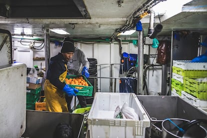 Los marineros de 'Nosa Madre Rosaura' cargan alimentos para su próxima campaña. 