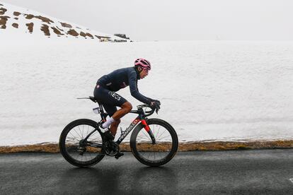 Egan Bernal, alcanzando, el lunes, la cima del Giau.