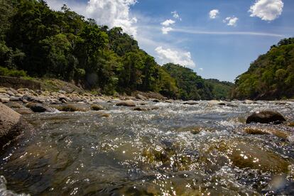 El río Térraba, junto a la obra de El Diquís.