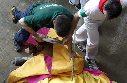 Varios pastores, corredores y carpinteros se llevan al manso que ha muerto en el tercer encierro de los sanfermines 2013 tras chocar contra un poste de madera a la entrada de los corrales de Plaza de Toros de Pamplona.