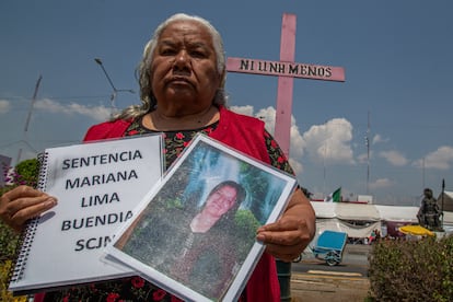 Entrevista con la señora Irinea Buendía, madre de Mariana Lima Buendía, activista y promotora de la Sentencia Mariana Lima Buendía de la SCJN.