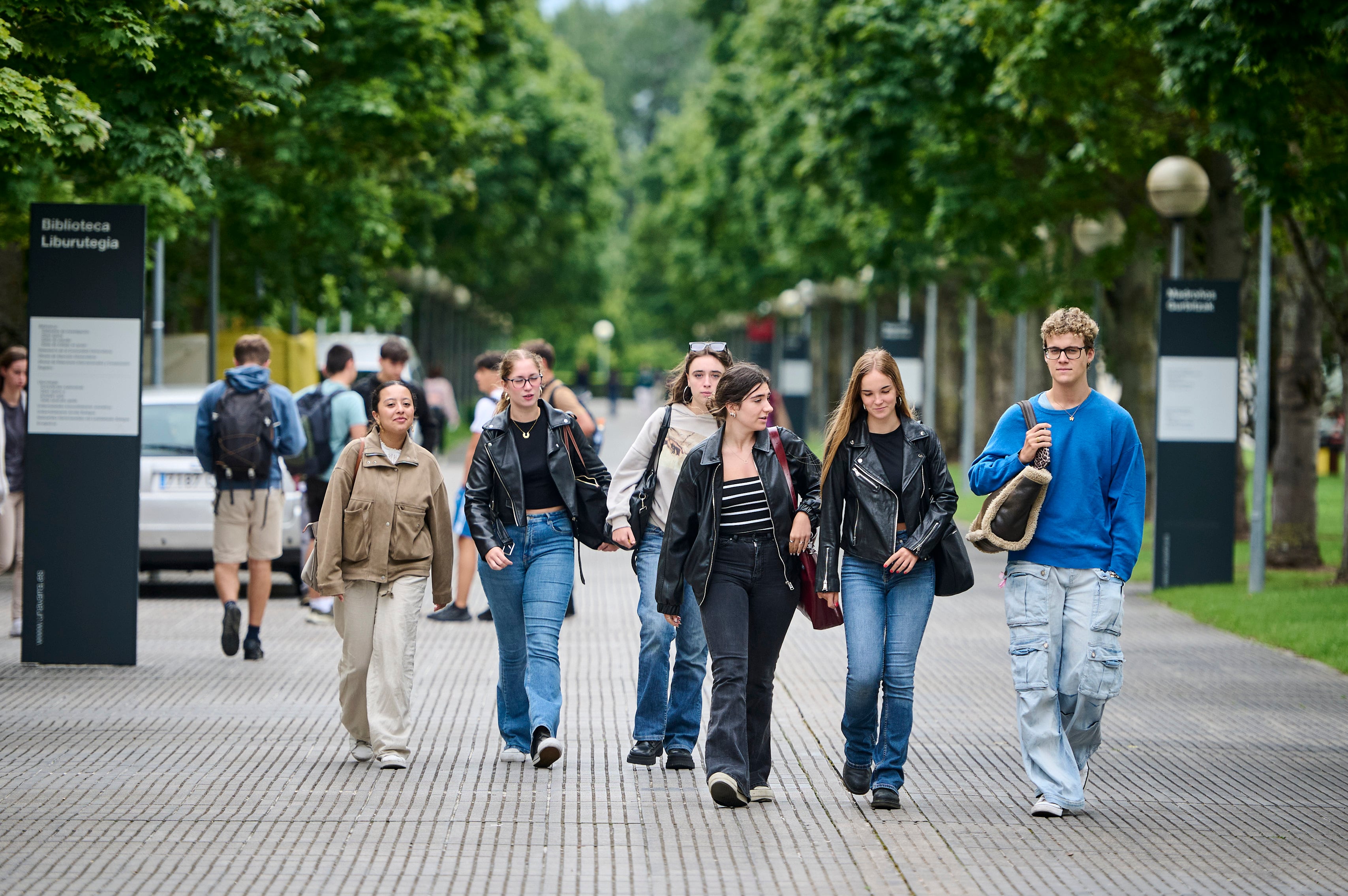 El Gobierno va a replantearse las becas universitarias tras caer el número de beneficiarios 