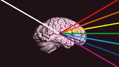 IDEAS 31/08/2025 CONCIENCIA