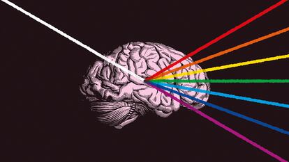 ¿Qué es la consciencia?