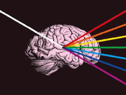 ¿Qué es la consciencia?