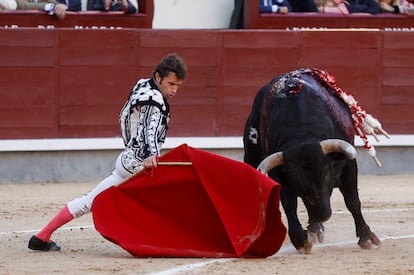 Fernando Robleño Torero